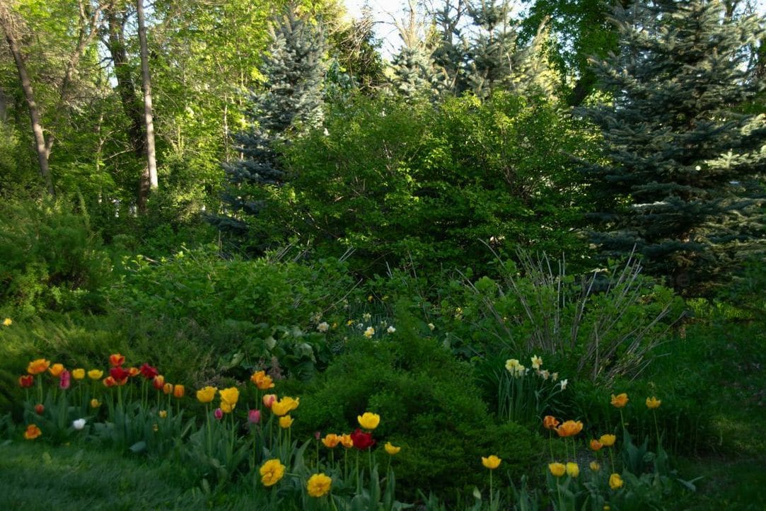 JardinMontagne 8